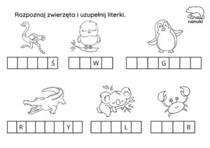 Karty-pracy-NANUKI-1