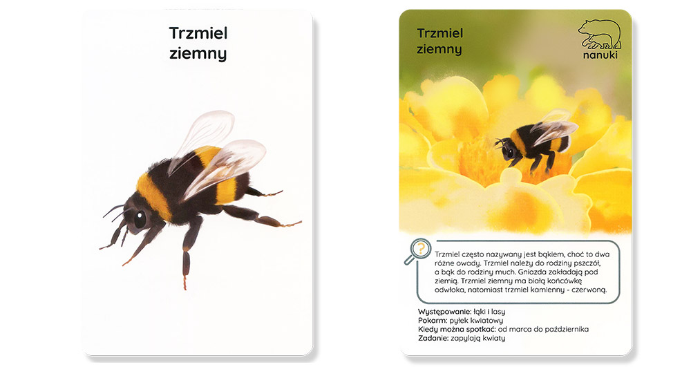 Karty Spacerowe Robaczki - nanuki - baner